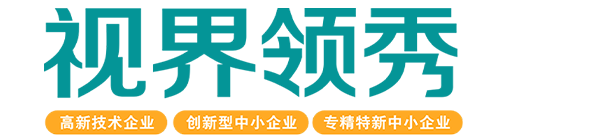 東莞市領(lǐng)秀光電科技有限公司